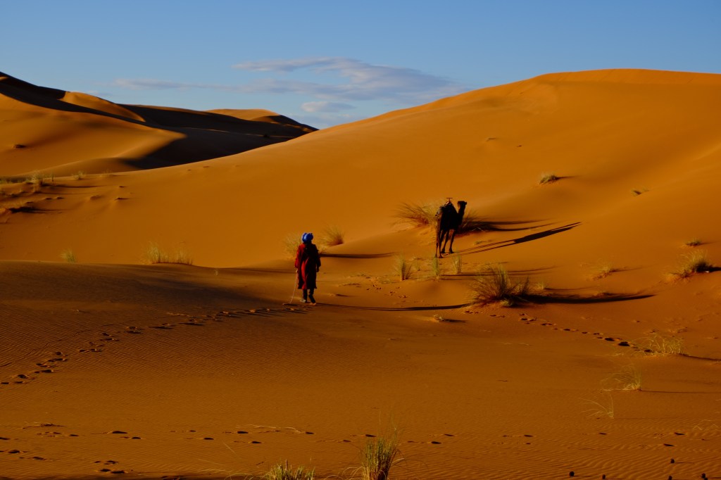 a camel and his guide